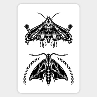 Blackwork Moths Magnet